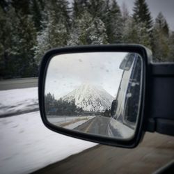 Reflection of trees on side-view mirror