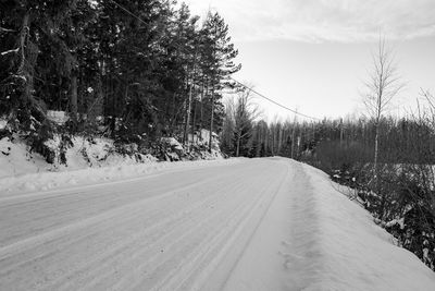 Road amidst trees against sky during winter