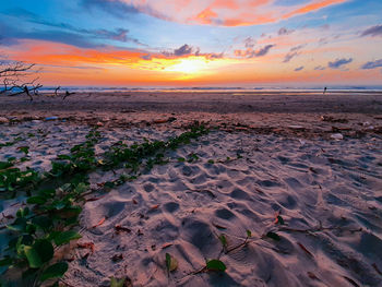 Scenic view of beach against sky during sunset