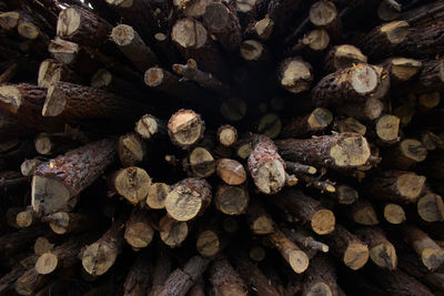 Full frame shot of logs