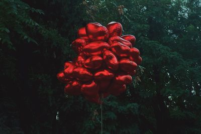 Red heart shapes against trees