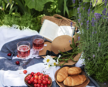 Picnic outdoors in lavender fields. rose wine in a glass, cherries and straw hat on blanket