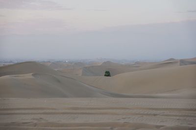 Scenic view of desert against sky