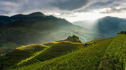 Scenic view of terraced field against cloudy sky