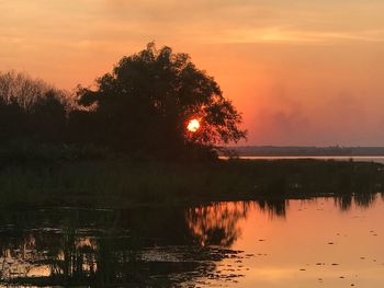 Silhouette trees by lake against sky during sunset