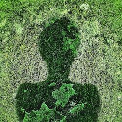 Full frame shot of tree