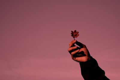Man holding flower against clear sky during sunset