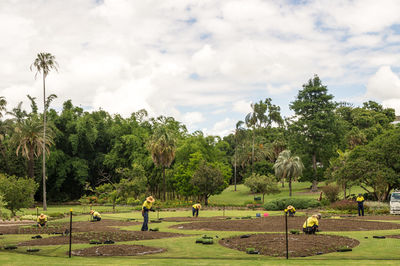 Scenic view of grassy field against cloudy sky