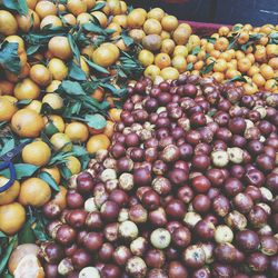 Close-up of fruits for sale in market