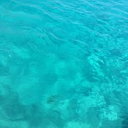 High angle view of swimming pool
