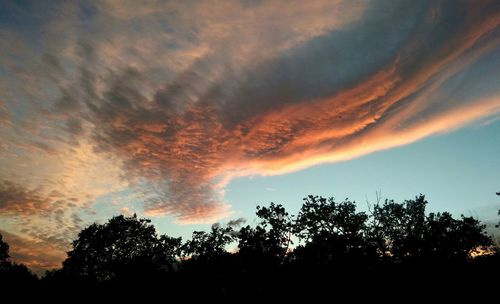 Low angle view of silhouette trees against sky during sunset