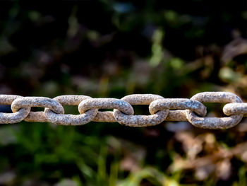 Close-up of metal chain on field