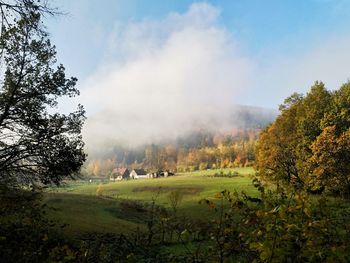 Trees on field against sky during autumn