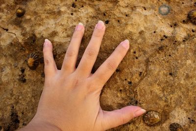 Cropped hand of woman touching rock