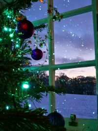 Close-up of illuminated christmas tree at night