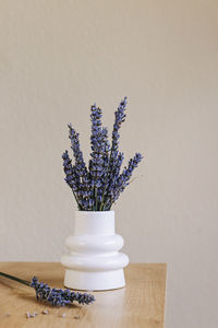 Close-up of potted plant against wall