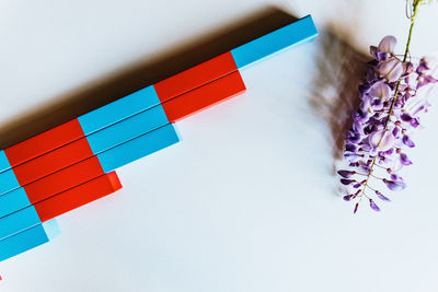 High angle view of multi colored toy blocks by flowers against white background