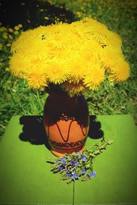 Close-up of yellow flowers in vase