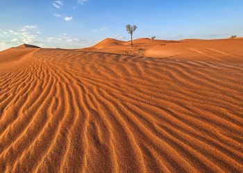 Sand dune in desert against sky