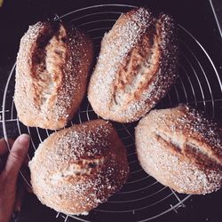 Close-up of hand holding bread