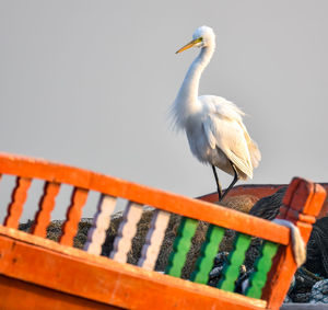 Low angle view of bird perching on railing against sky