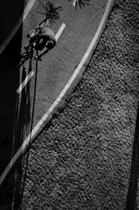 Shadow of tree on the wall