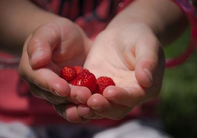 Close-up of hand holding strawberries