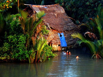 View of plants in water