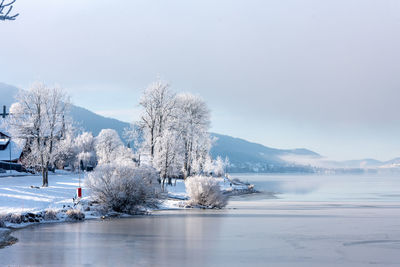 Frozen lake by trees against sky