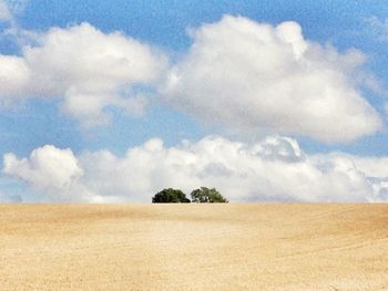 sky