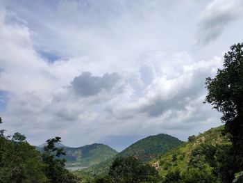 Low angle view of trees against sky