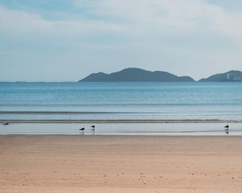 Scenic view of beach against sky