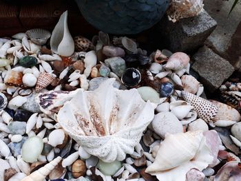 High angle view of shells on pebbles