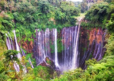 Scenic view of waterfall in forest