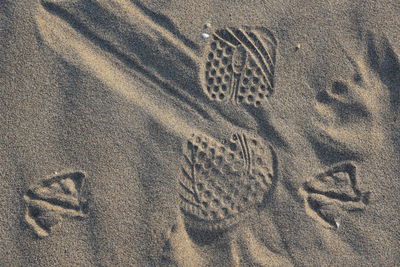 High angle view of footprints on sand