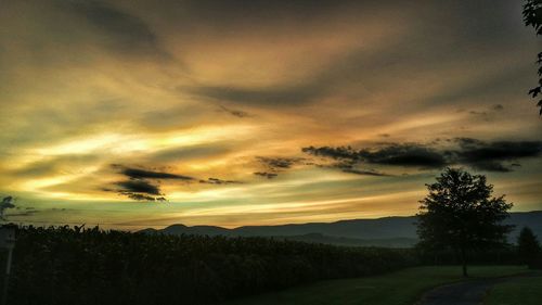 Scenic view of landscape against cloudy sky