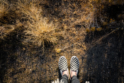 Low section of person standing on land