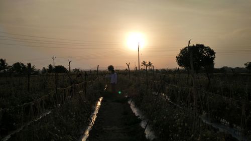 Man walking on field against sky during sunset