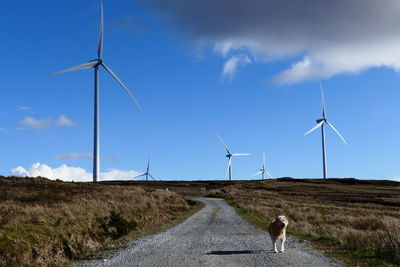 Wind turbines on field