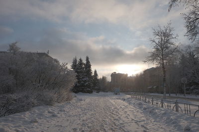 Snow covered land and trees against sky