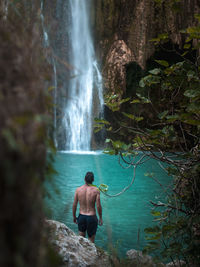 Rear view of shirtless man standing against waterfall at forest