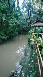 Scenic view of river in forest against sky