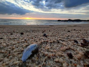 Surface level of beach against sky during sunset