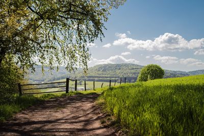 Country road passing through field