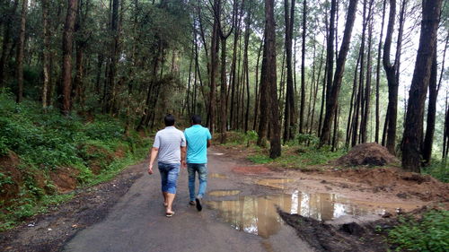 Rear view of people walking on road amidst trees in forest