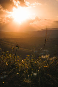 Scenic view of grassy field against sky during sunset