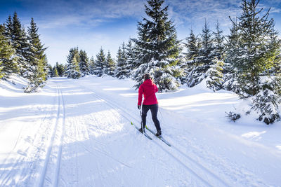 Rear view of person skiing on snow covered landscape