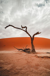 Scenic view of desert against cloudy sky