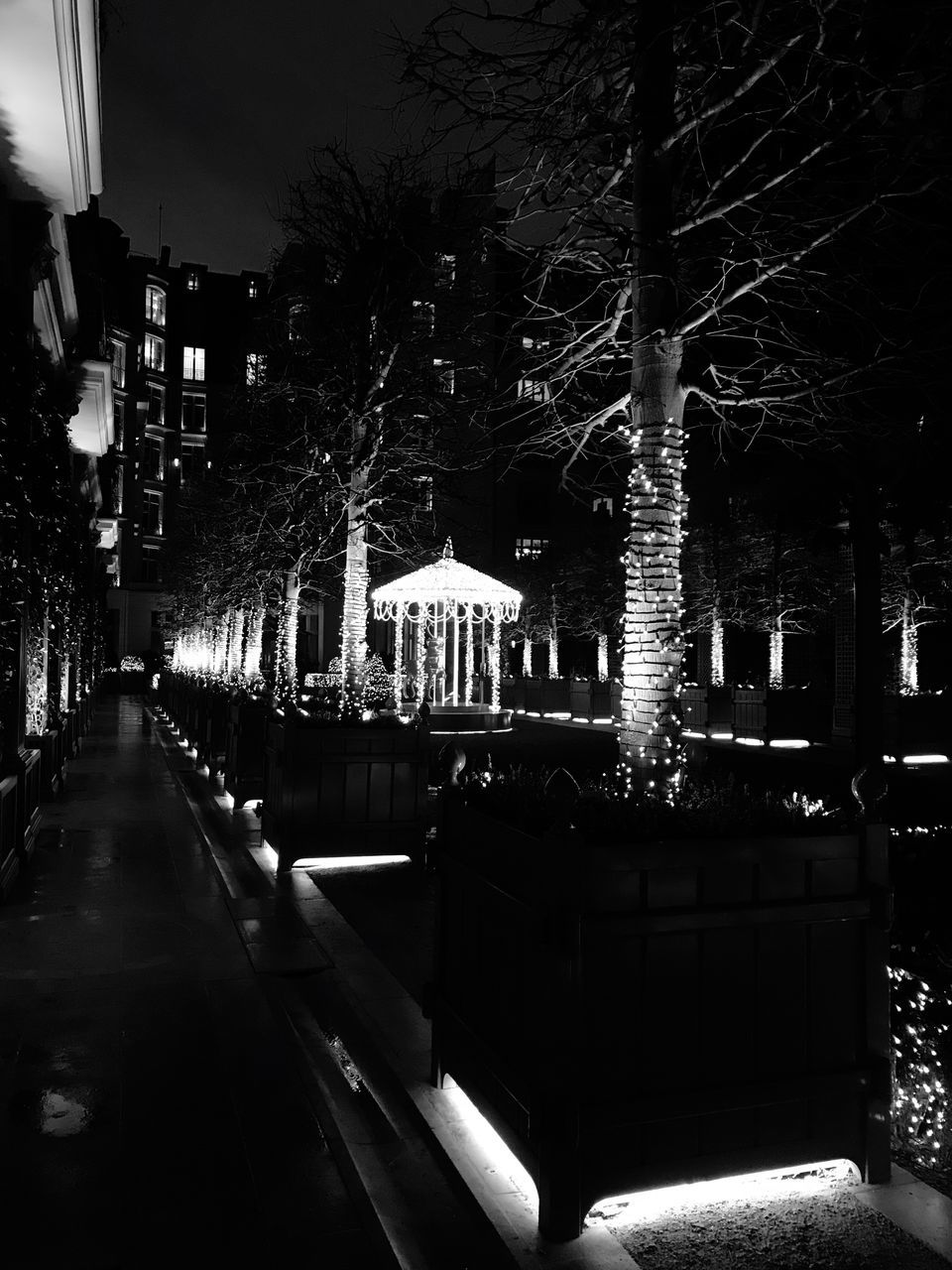 building exterior, tree, night, architecture, built structure, illuminated, outdoors, city, bare tree, no people, sky, nature