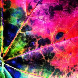 Full frame shot of abstract background